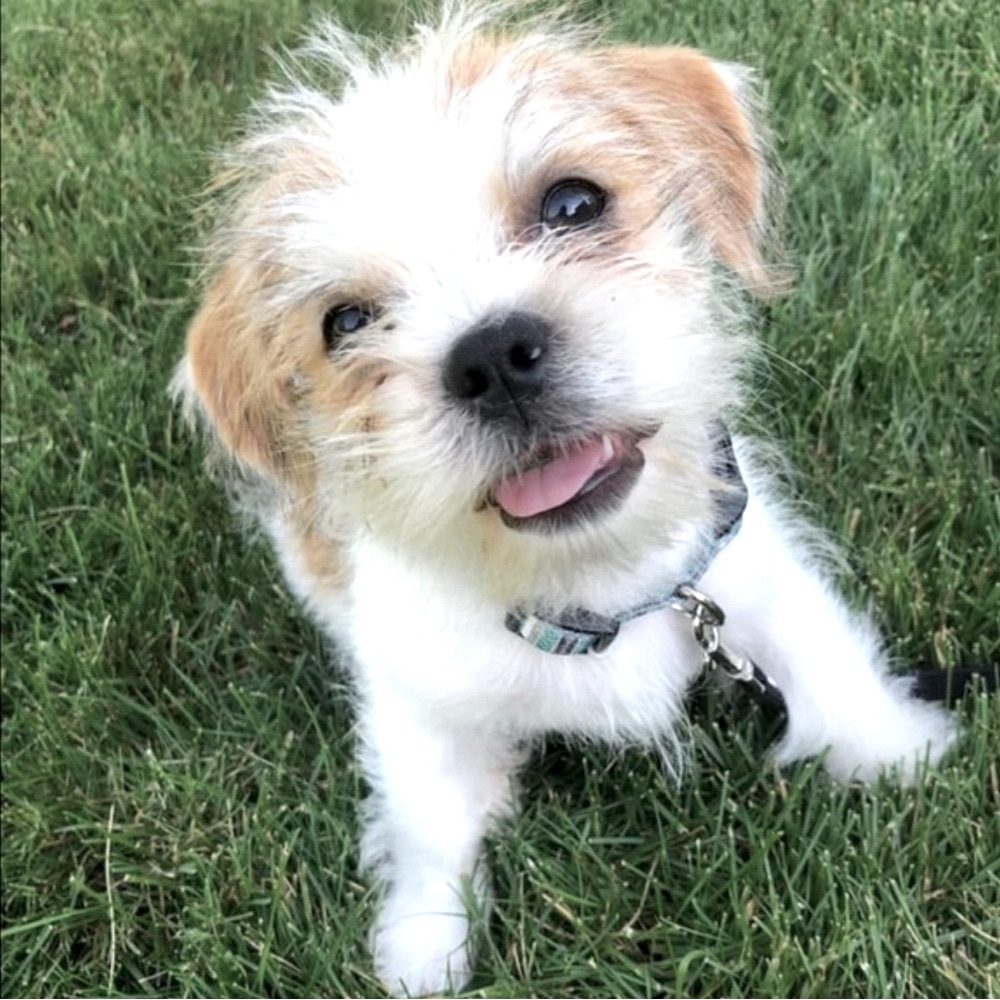 Poshmark Ambassador II | Heart & Hustle Winner | Top-Rated Seller | Fast Shipper